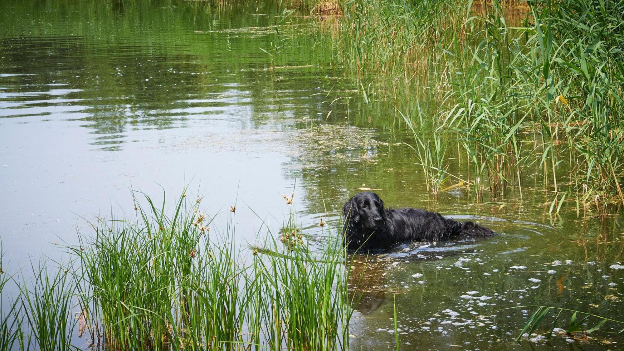 Luxe In Oostkapelle